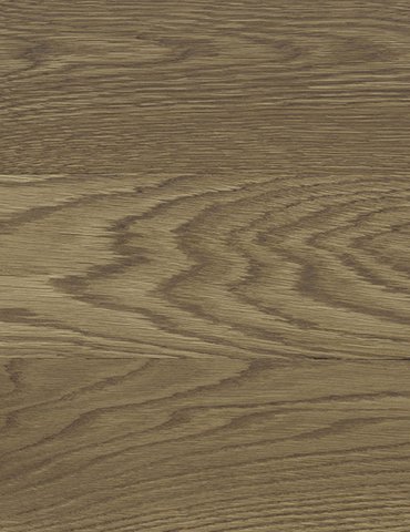 Nutmeg-Stain-Colour-Image