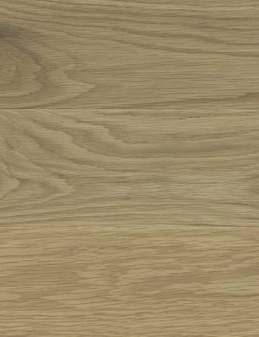 Neutral-Stain-Colour-Image