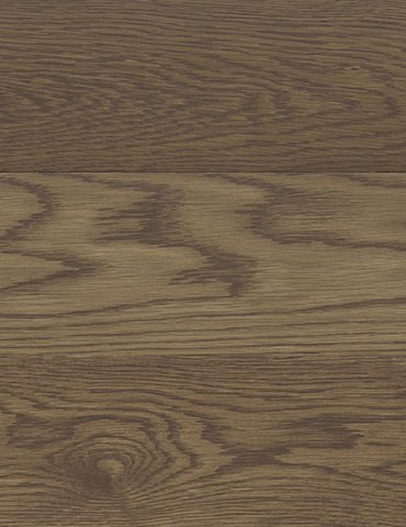English-Chestnut-Stain-Colour-Image