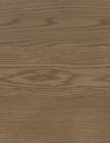 Gunstock-Stain-Colour-Image