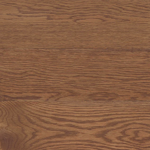 Early-American-Stain-Colour-Image