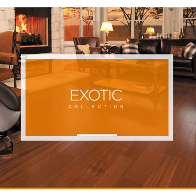 Exotic-Collection-Cover-Photo-930x400